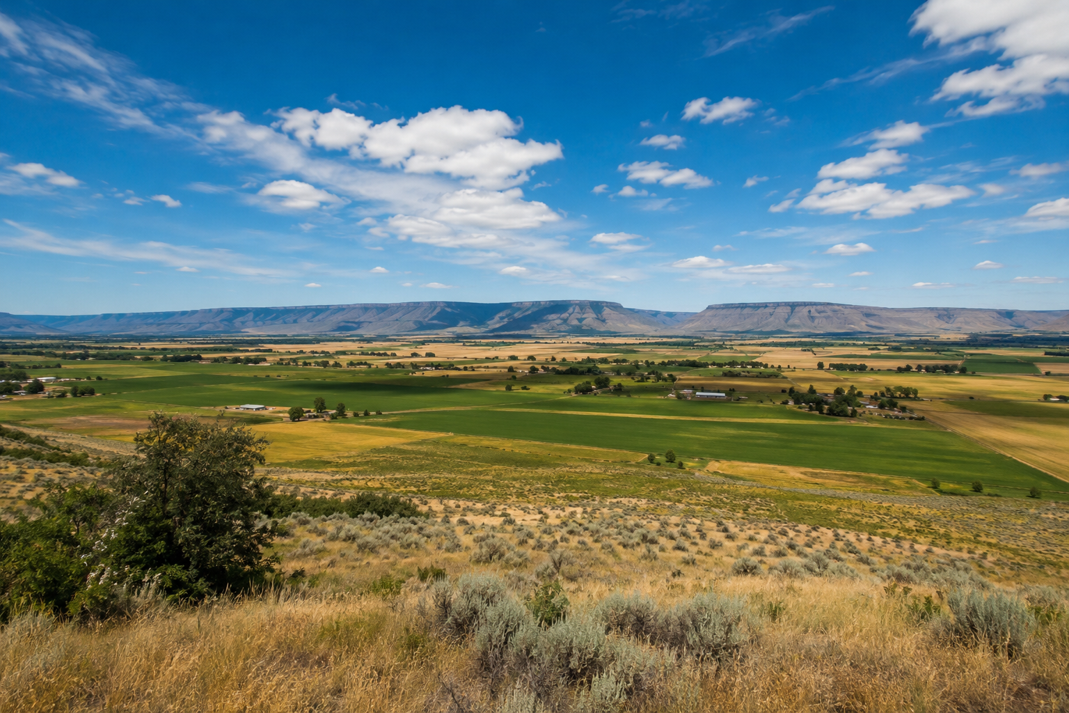 Wide-angle landscape of the Columbia Basin, open fields under a blue Washington sky